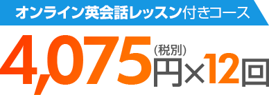 4,075円(税別)×12回