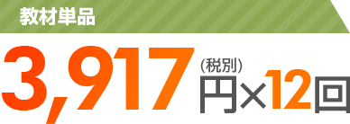 3,917円(税別)×12回