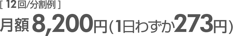 月額8,200円(1日わずか273円)12回分割例