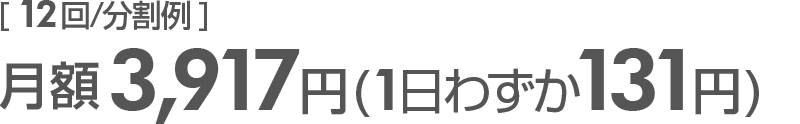 月額3,917円(1日わずか131円)12回分割例