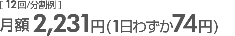 月額2,231円(1日わずか74円)12回分割例